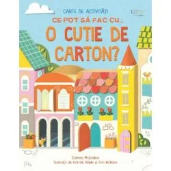 Ce pot sa fac cu... o cutie de carton? (Usborne) de Usborne Books