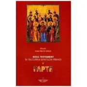 Noul Testament in talcuirea Sfintilor Parinti. Volumul 5. Fapte de Ioan Sorin Usca