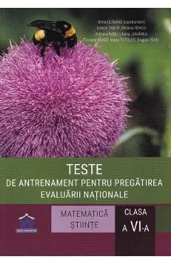 Teste de antrenament pentru pregatirea Evaluarii Nationale MatematicaStiinte - Clasa 6 de Iuliana Tanur