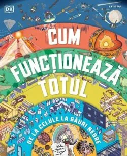 Cum functioneaza totul de DK