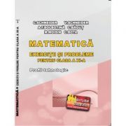 Matematica Exercitii si probleme pentru clasa a 11-a. Profilul Tehnologic