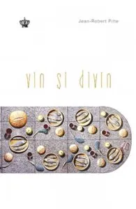 Vin si divin de Jean-Robert Pitte