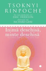 Inima deschisa, minte deschisa. Trezirea iubirii pure din tine de Tsoknyi Rinpoche