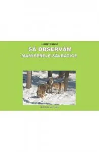Sa observam Mamiferele salbatice de Planse