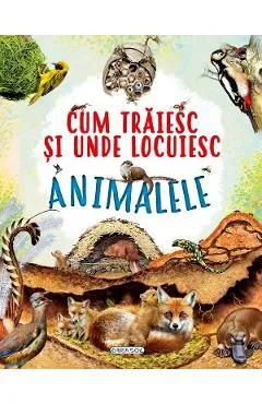 Cum traiesc si unde locuiesc animalele de Autor Anonim