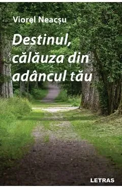 Destinul, calauza din adancul tau de Viorel Neacsu