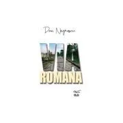 Via Romana de Dan Negrescu