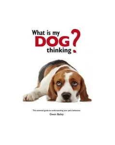 What is my Dog Thinking? : The essential guide to understanding your pet de Gwen Bailey