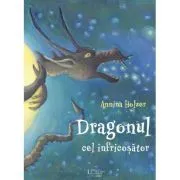 Dragonul cel înfricosator de Annina Holzer