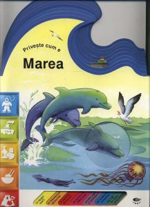 Marea