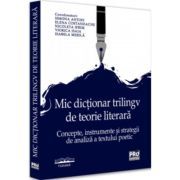 Mic dictionar trilingv de teorie literara. Concepte, instrumente si strategii de analiza a textului poetic