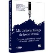Mic dictionar trilingv de teorie literara. Concepte, instrumente si strategii de analiza a textului poetic de Simona Antofi