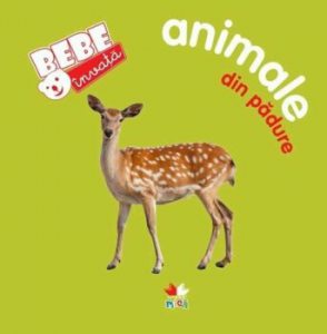 Animale din padure. Bebe invata