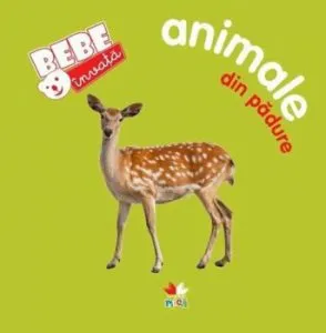 Animale din padure. Bebe invata