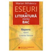 Eseuri de literatura pentru Bacalaureat