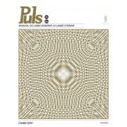Puls. Manual de limba romana pentru straini. Nivelurile B1-B2  CD