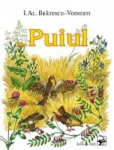 Puiul
