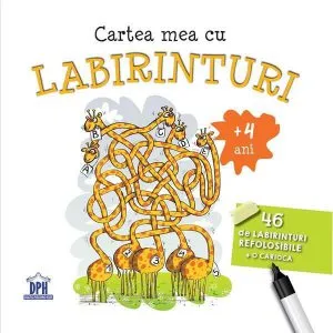 Cartea mea cu labirinturi - 46 de labirinturi refolosibile   o carioca