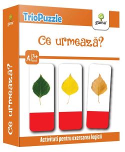 Ce urmează? TrioPuzzle