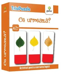 Ce urmează? TrioPuzzle