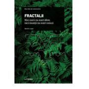 Volumul 11. Mari idei ale matematicii. Fractalii. Nici norii nu sunt sfere, nici muntii nu sunt conuri