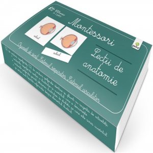 Lectii de anatomie: Organe de simt. Sistemul respirator. Sistemul circulator - Lectii Montessori