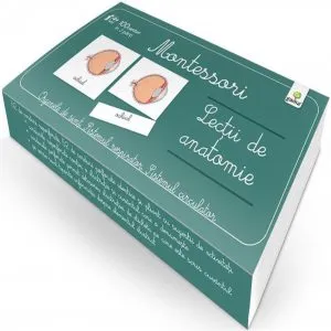 Lectii de anatomie: Organe de simt. Sistemul respirator. Sistemul circulator - Lectii Montessori