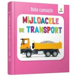 Mijloacele de transport. Bebe Cunoaste