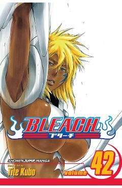 Bleach Vol.42