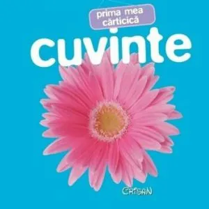 Cuvinte (Prima mea carticica)