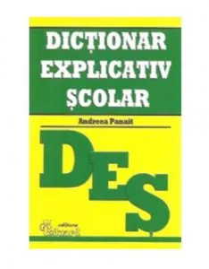 Dictionar explicativ scolar de Andreea Panait