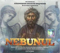 Nebunul (audiobook)