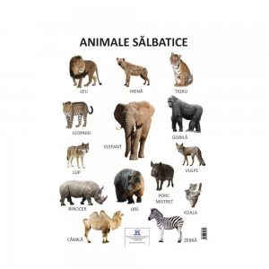 Plansa animale salbatice