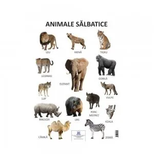 Plansa animale salbatice