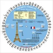 Discheta verbelor de Camelia Stan