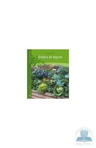 Gradina de legume