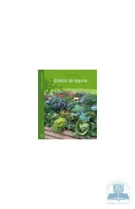 Gradina de legume