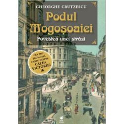 Podul Mogosoaiei