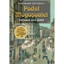 Podul Mogosoaiei de Gheorghe Crutzescu