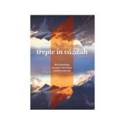 Trepte in vazduh