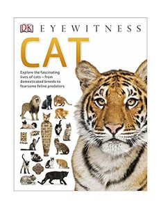 Cat (Eyewitness)