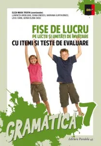 Gramatica pentru clasa a VII-a, Fise de lucru, 2016-2017 de A. E. Sasu