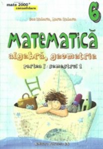 Matematica. Algebra, geometrie. Clasa a VI-a, semestrul I, partea I