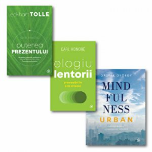 Pachet. Puterea prezentului. Elogiu lentorii. Mind ful ness urban