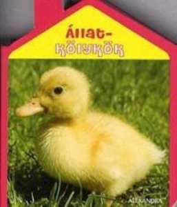 Allatkolykok
