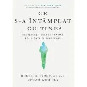 Ce s-a intamplat cu tine? Conversatii despre trauma, rezilienta si vindecare de Bruce D Perry