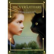 Mica vrajitoare. Volumul 1, Proba focului