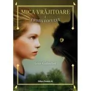Mica vrajitoare. Volumul 1, Proba focului de Lene Kaaberbol