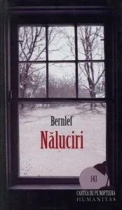 Naluciri de J. Bernlef