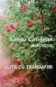 Ulita cu trandafiri de Sandu Catinean